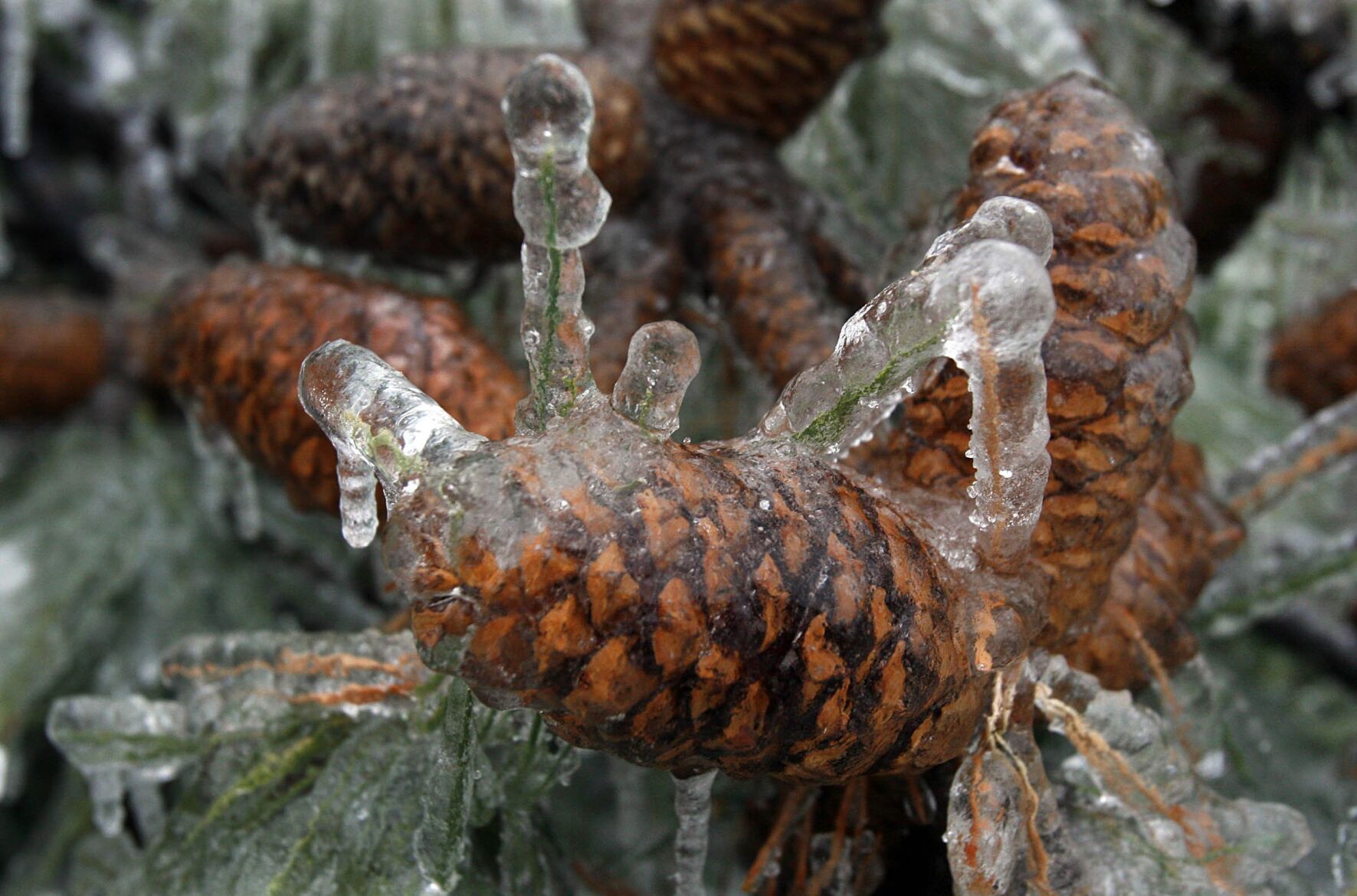 January 2007 ice storm